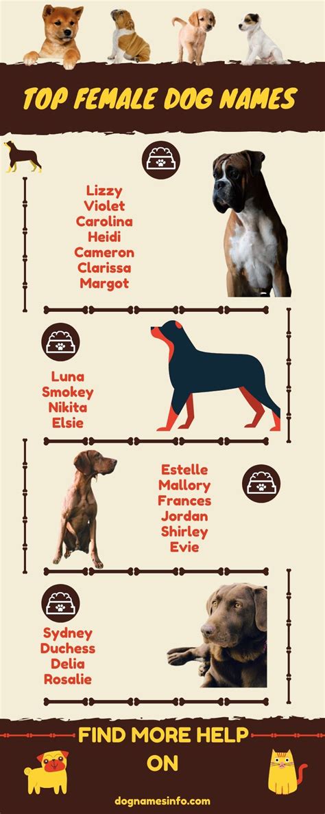 unique strong female dog names